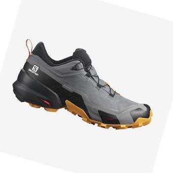 Tenis Senderismo Salomon CROSS HIKE GORE-TEX Hombre Grises | MX 3608KOR